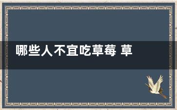 哪些人不宜吃草莓 草莓的食用禁忌(哪些人不宜吃草虾)